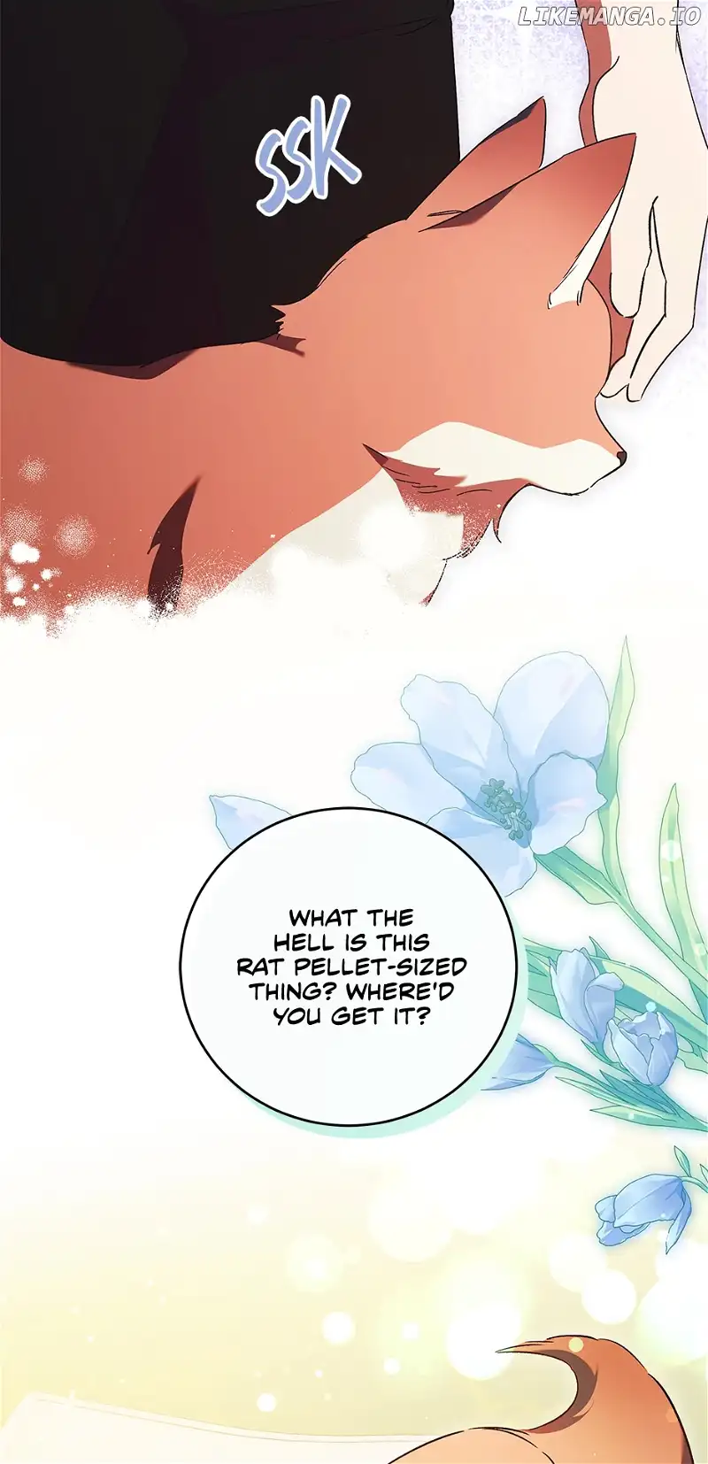 The Young Lady Who Broke Her Engagement Is Only Obsessed With the Ending Chapter 34 page 37